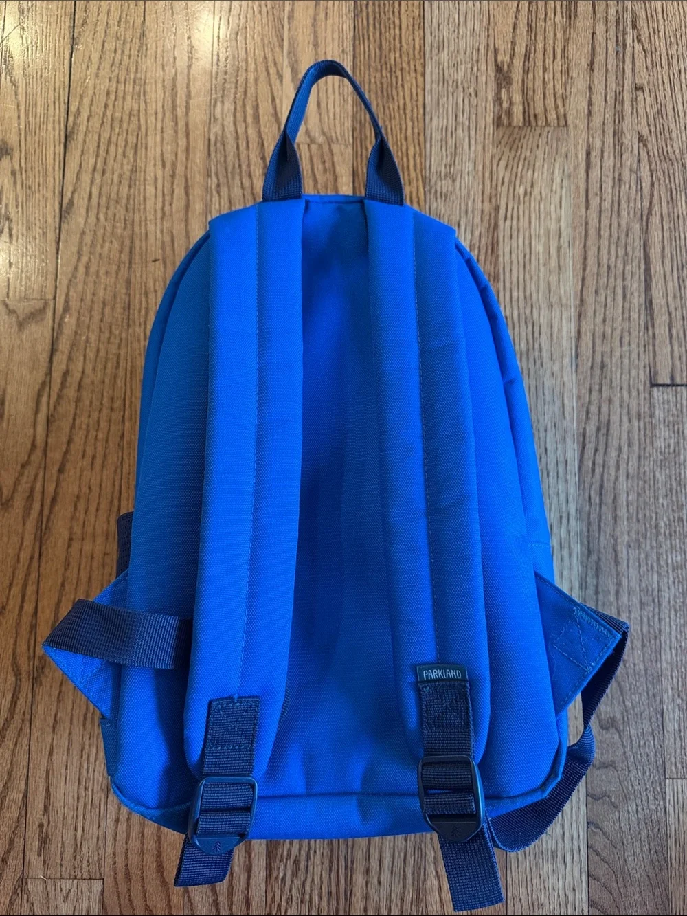 Blue Parkland mini backpack